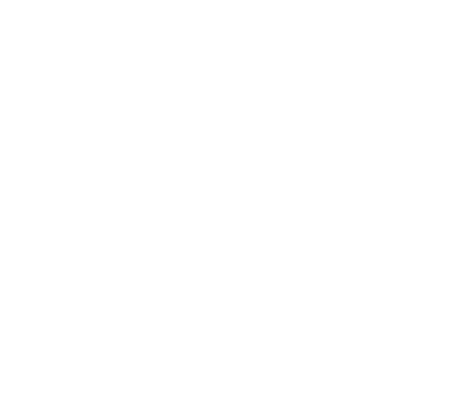 Wildlife Tanzania