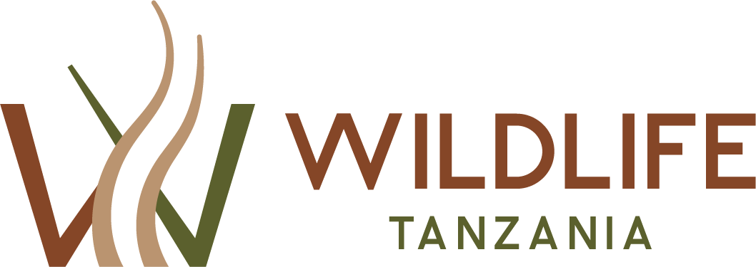 Wildlife Tanzania